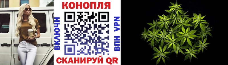 купить наркотики цена  Бокситогорск  Канабис THC 21% 